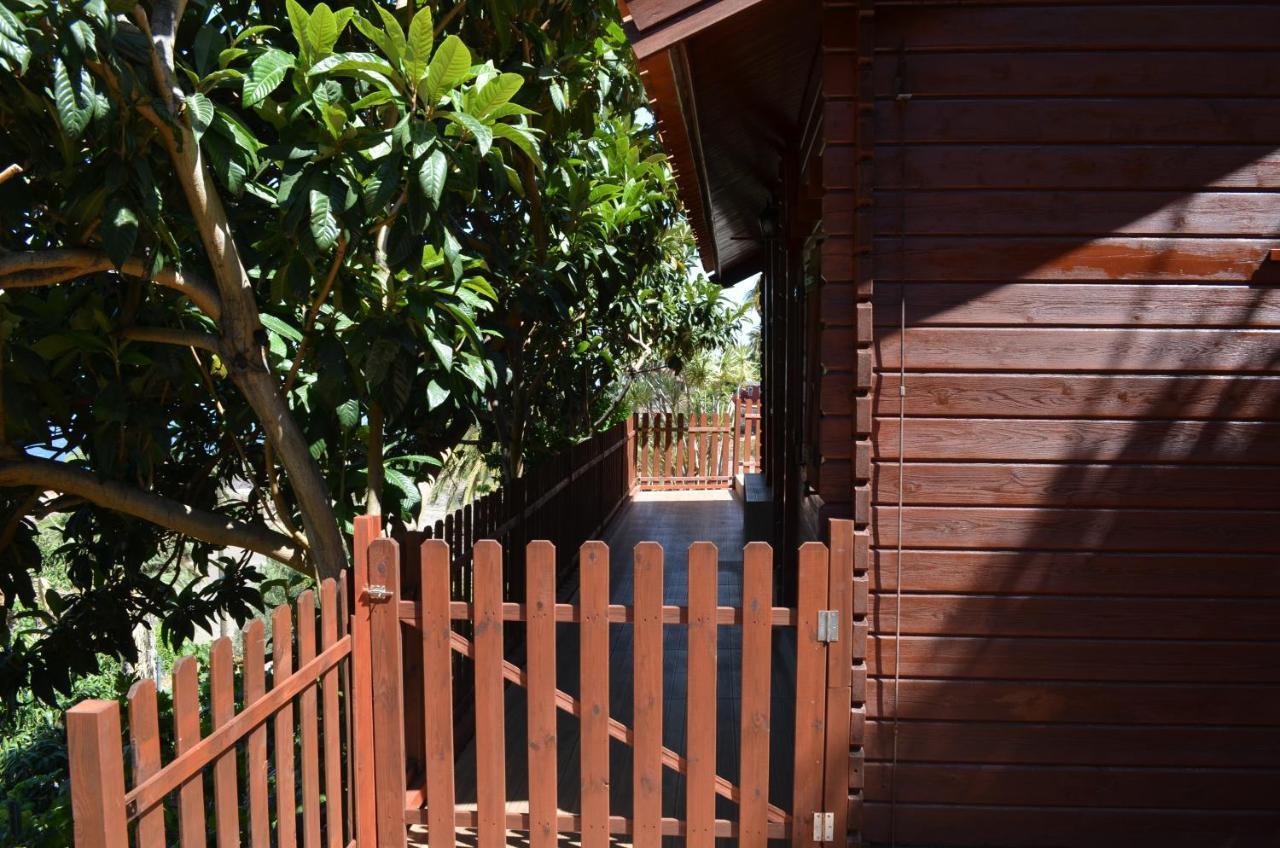 Cabana Los Palmeros, Vista Al Mar Y La Montana Alojera エクステリア 写真