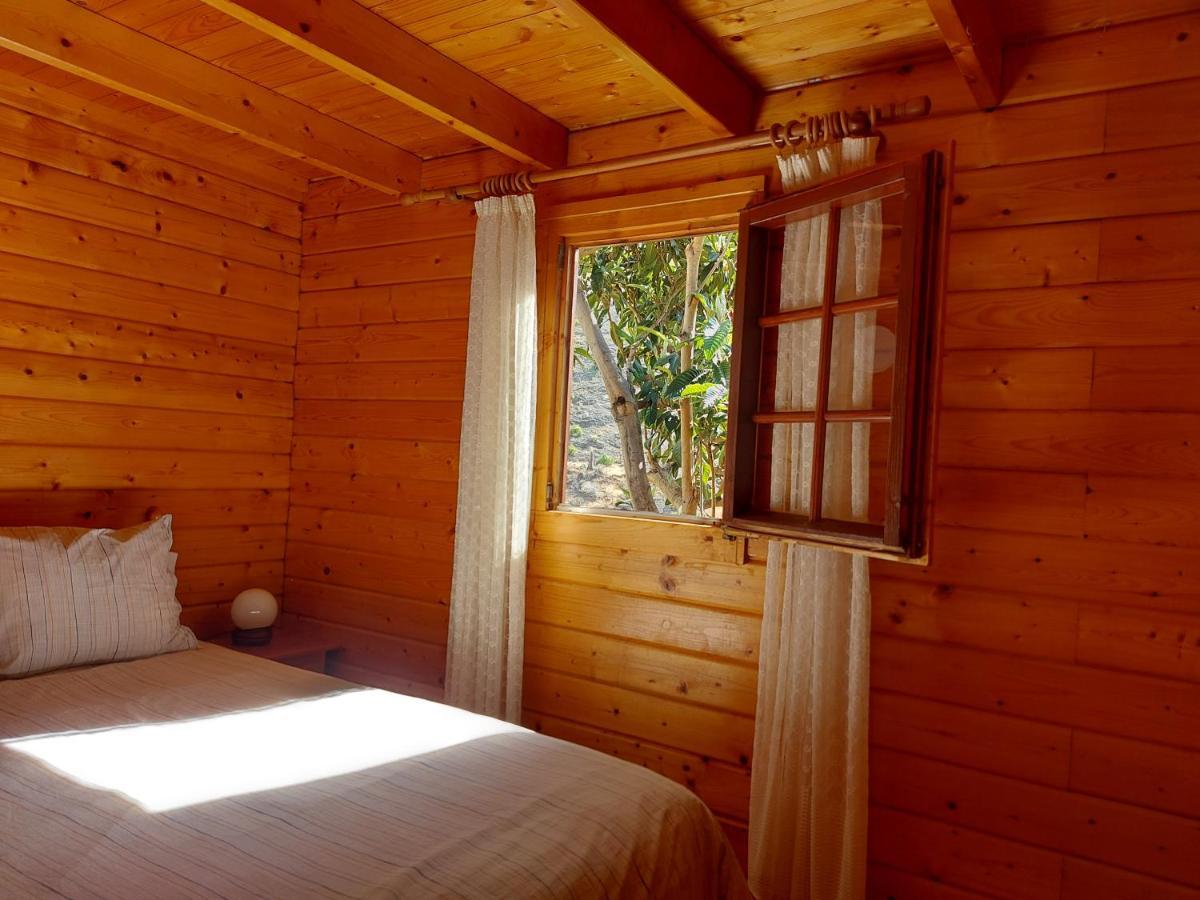 Cabana Los Palmeros, Vista Al Mar Y La Montana Alojera エクステリア 写真