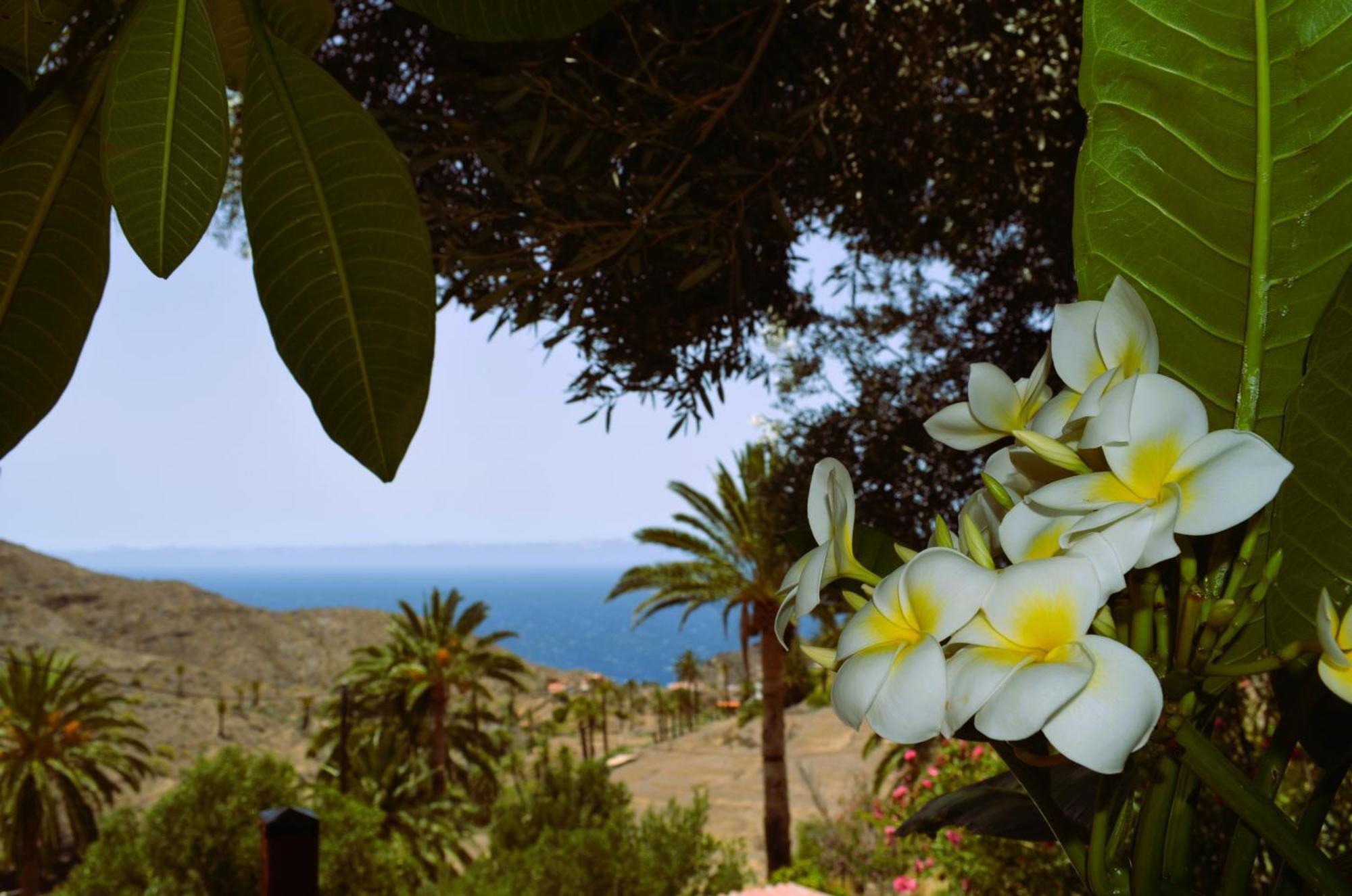 Cabana Los Palmeros, Vista Al Mar Y La Montana Alojera エクステリア 写真